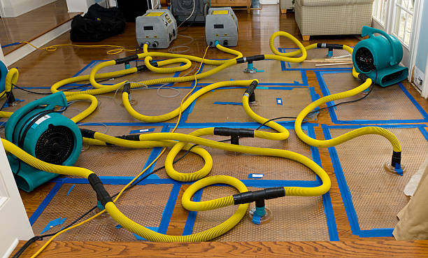 Professional Water Damage Restoration technician working in Sugarloaf, CA